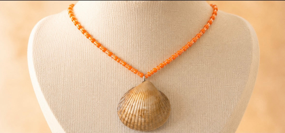 Collier coquillages