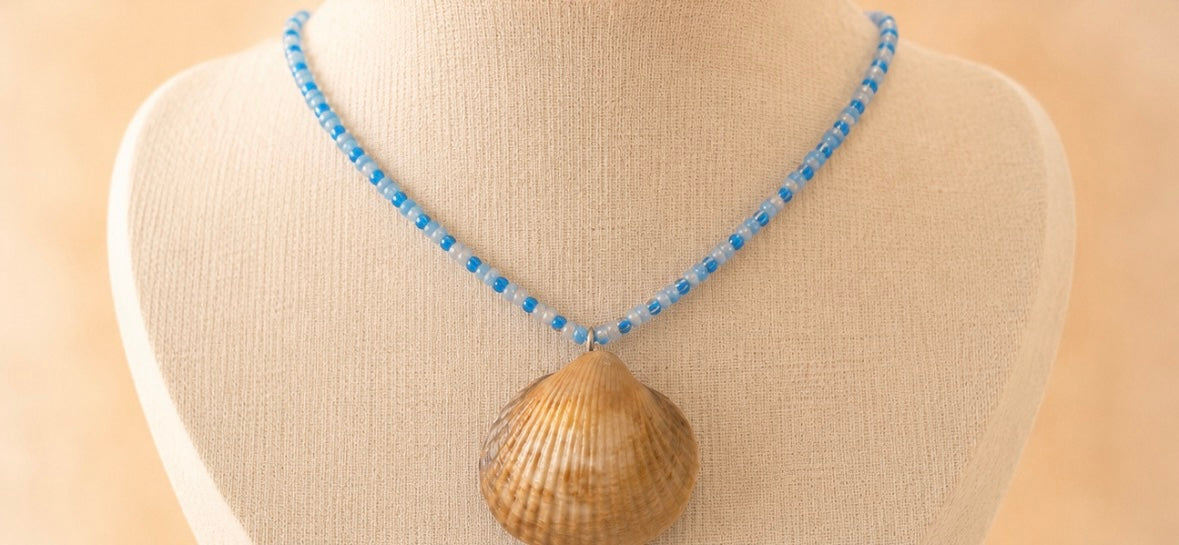 Collier coquillages